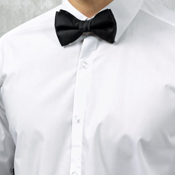 Bow tie Thumbnail